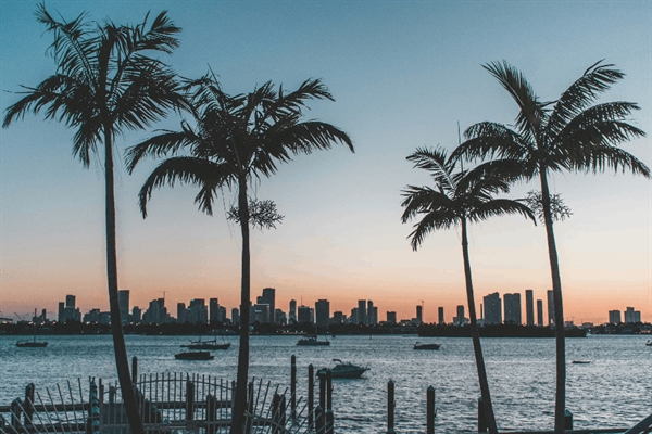 South Florida Dating: A Matchmaker's Honest Take on Miami vs. Fort Lauderdale